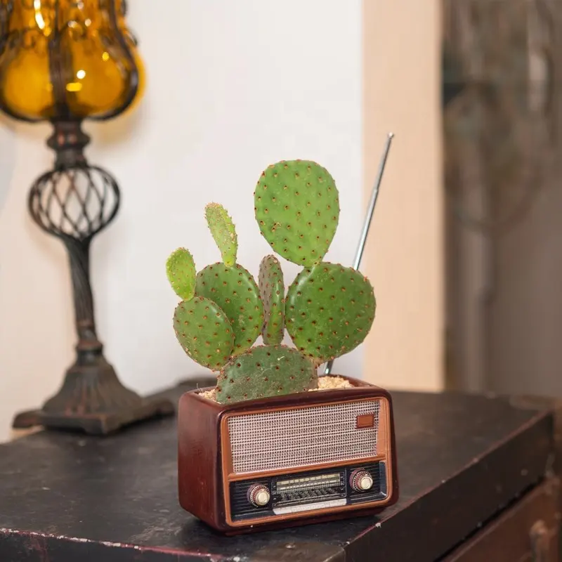 1 adet Retro radyo şekilli saksı kabı benzersiz bahçe Pot dekorasyon için