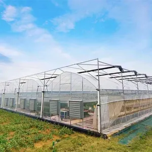 Invernadero agrícola de túnel multifuncional, invernadero agrícola, Peng