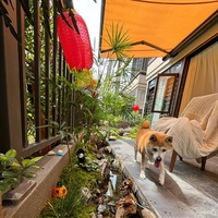 Auvent anti-pluie résistant à la neige manuel électrique Patio jardin balcon boîte complète auvent avec télécommande pleine Cassette auvent