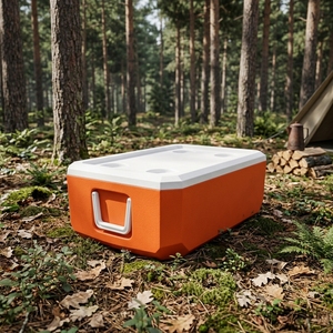 Plaque de refroidissement en plastique HS, boîte de refroidissement pour camping, boîte de glace, garder l'article, boîte de poitrine, refroidisseur de jeu de camping - Product Image 1