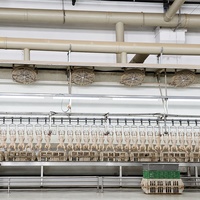 Machine d'abattage de volailles, ligne d'abattage de volailles, équipement d'abattoir, usine complète