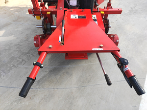 Machine de plantation de légumes multifonctionnelle automatique, semis d'oignon, - Product Image 4