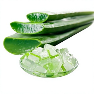 Jus d'aloe vera frais, boisson détoxifiante et hydratante à base de plantes - ojistha Industries, durée de conservation de 36 mois - Product Image 1