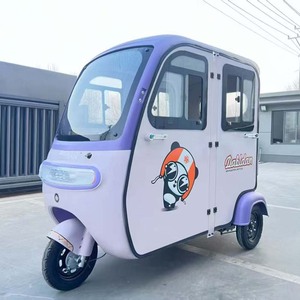 Triciclo Eléctrico Cerrado para Adultos, 800W 60V, de Recreo, con 4 Puertas - Product Image 1