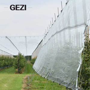 Red de Protección Contra Granizo para Viñedos, Transparente, Forma de Media Luna, Malla de 60g 80g para Granjas Vinícolas de Georgia - Product Image 4