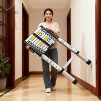 Échelle télescopique moderne en aluminium Senpiao, 5 marches, 1,9 m, portable, capacité de 300 lb, angle d'escalade de 45°, 6,2 pieds