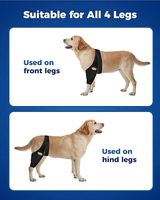 Attelle de genou universelle pour chien avec logo personnalisé, pour pattes avant et arrière, pour dysplasie de la hanche et luxation de la rotule