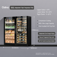 Réfrigérateur à vin à compresseur double zone, armoire à vin à refroidissement par air, sans givre, pour la maison, le bar ou le bureau