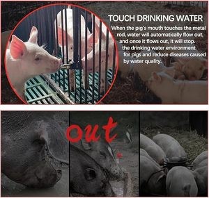 Vòi nước bằng thép không gỉ lợn heo con uống đài phun nước chăn nuôi tự động uống nước đầu - Product Image 3