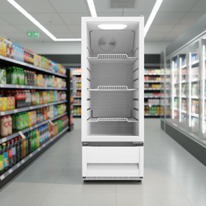 Refrigerador Comercial con Puerta de Vidrio, Eficiente Energéticamente, para Exhibición en Tiendas de Conveniencia, Enfriador de Bebidas y Cerveza Dss-326m* - Product Image 3