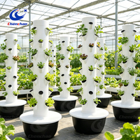 Tour de culture hydroponique à 40 trous, économiseuse d'eau, pour la culture de légumes frais et de cultures à haute valeur ajoutée