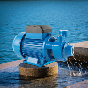 Elestar תחרותי qb60 odm כונן כונן AC סגסוגת אלומיניום בית שימוש 0.5 1hp לחץ נמוך 9m משק משאבת מים חדשה משאבת מים חשמלית - Product Image 1