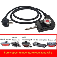 Cable eléctrico para olla caliente, Control de temperatura, Cable de alimentación, inserción, tipo aguja, Control de temperatura, ranura de alambre, boca plana