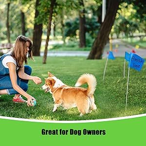 Customizable Logo Various Colors for Outdoor Garden Arena Construction Site Warning Mini <strong>Flags</strong> - Product Image 6