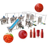 Machine de pasteurisation de tomate d'équipement de stérilisation de sauce pour des sachets de sauce à pâte de tomate
