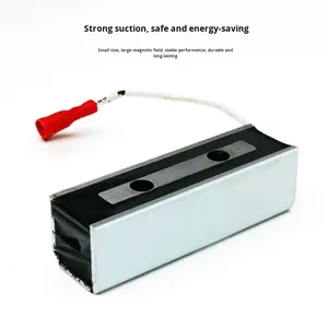 Aspirazione a magneti permanenti DC12V/24V ventosa elettromagnete protezione IP67 in acciaio inox | BYKH-8428 elettromagnete - Product Image 2