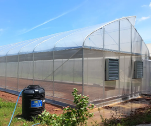 دفيئة بلاستيكية على شكل قوس فعالة من حيث التكلفة لنمو النباتات، دفيئة بسعر المصنع، أفضل جودة، دفيئة رائجة البيع - Product Image 4