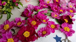 Flor prensada de peonía - Product Image 2