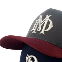 Casquette de baseball personnalisée en daim avec broderie 3D, patch, bicolore, en sergé de coton, 5 panneaux, visière incurvée, snapback, chapeau de sport pour hommes, Gorras