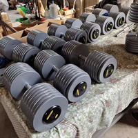 YL-A010 Haltères peints par cuisson, Vente directe usine, Équipement de musculation très demandé