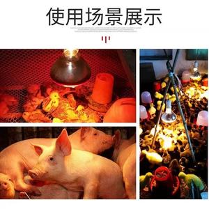 Lampe chauffante infrarouge thermique 220V pour l'incubation des poulets, en parfait état, pour la reproduction, la préservation de la chaleur, le chauffage, la ferme d'élevage, en aluminium - Product Image 4