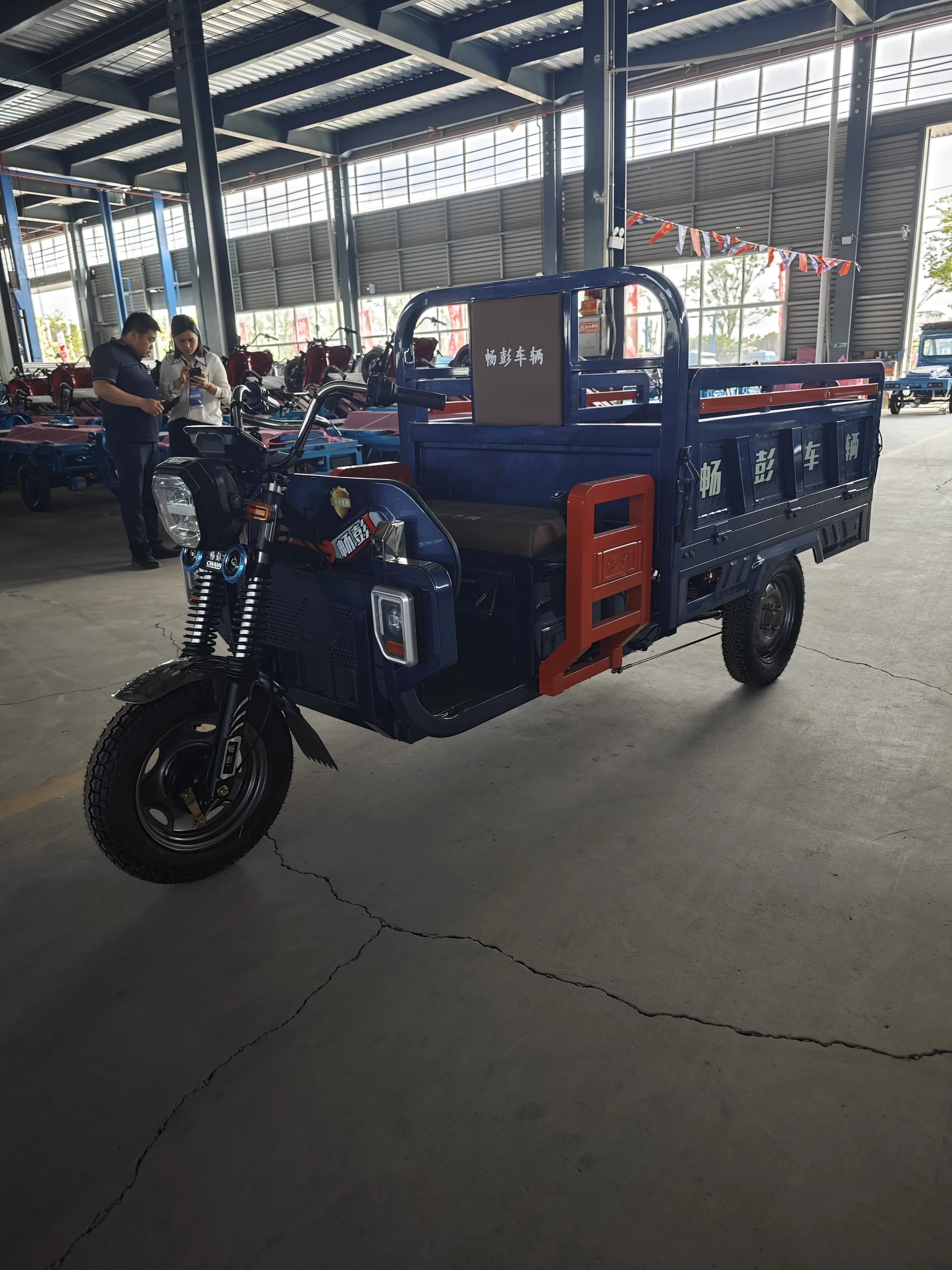 Nouveaux tricycles électriques Tricycle agricole motorisé Cargo Scooter