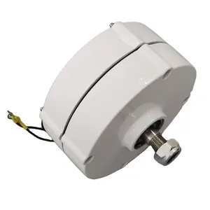 750RPM 100W AC Permanent Magnet Generator For Wind Turbine