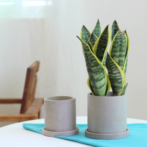 Rotonda a forma di cilindro nordic semplice stile di <span class=keywords><strong>cemento</strong></span> di <span class=keywords><strong>cemento</strong></span> vaso di fiori con piattino per la decorazione domestica - Product Image 5