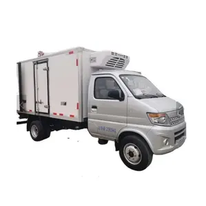 Satılık ucuz fiyat changan 1.5T mini dondurucu buzdolabı van kamyon