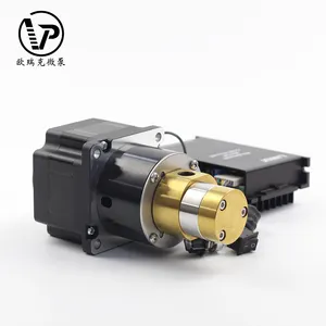 Low MOQ Low temp magnetic drive gear pump brushless working external stainless steel driver DC no leakage fuel oil gear pump