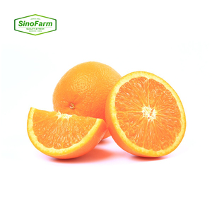 Naranjas <span class=keywords><strong>Valencia</strong></span> Frescas a <span class=keywords><strong>Precio</strong></span> <span class=keywords><strong>de</strong></span> Fábrica, Naranjas Frescas al por Mayor, 72 Unidades #   88 #   100 #   Cítricos Dulces para Supermercado - Product Image 2