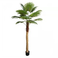 Palmier décoratif vert de haute qualité Artificiales plante en plastique Simulation arbre d'intérieur palmiers artificiels avec noix de coco