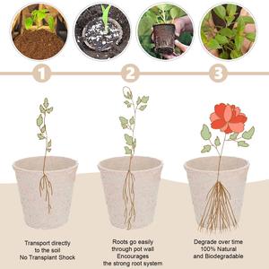 Plateau de transplantation en fibre végétale biodégradable en gros, <span class=keywords><strong>pots</strong></span> en papier pulpeux <span class=keywords><strong>pour</strong></span> fleurs et plantes, <span class=keywords><strong>pots</strong></span> en <span class=keywords><strong>tourbe</strong></span> <span class=keywords><strong>pour</strong></span> <span class=keywords><strong>semis</strong></span>, options écologiques - Product Image 3