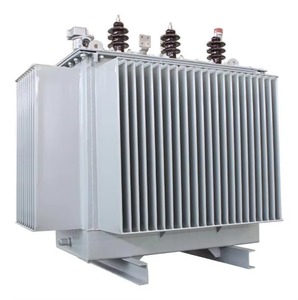 Transformador de Potencia Trifásico de 1 MVA, 11/0.4 KV, 11KV 0.4KV - Product Image 1