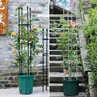 Offre spéciale, haute qualité, couleur personnalisée combinée fleur de Rose obélisque noir robuste rond métal tour de plante jardin treillis/