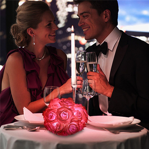 2 Mét 20 Vòng Hoa Hồng Với Đèn Led Cho Tiệc Cưới Sự Kiện Chuỗi Ánh Sáng Trang Trí Giáng Sinh - Product Image 3