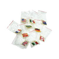 2025 pabrik OEM penjualan langsung Mini lucu hadiah murah Meksiko pin bros bendera nasional dengan 2.5*2cm