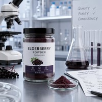 Natuurlijk Wild Vlierbessen Fruitpoeder FVP-37 Voedingskwaliteit Anthocyanine Instant Wateroplosbaar Sappoeder 1kg Trommel/Fles Verpakking