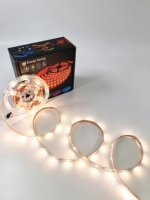 Bande LED USB adressable RGBIC 5V 5050, 30 LED par mètre, programmable, flexible, IP33, WS2811, ruban lumineux pour décoration de fête