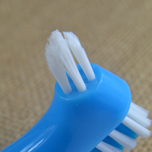 Brosse à dents pour prothèses dentaires à poils durs, brosse à dents pour prothèses dentaires, bain pour prothèses dentaires - Product Image 5