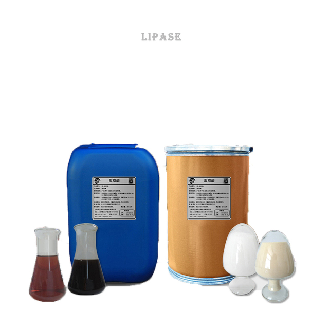 Cas 9001-62-1 Lipase Enzyme Powder Food Grade Price/industrial Lipase Enzyme for Detergent