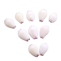 Conque d'escargot de lapin en jade blanc naturel 2-3cm coquillage rare pour les trésors de bricolage ou la collection cadeau de conque blanche polie