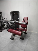 Machine à flexions de cuisses assise SK-L16 avec poids sélectables, équipement d'entraînement des jambes pour salle de sport professionnelle
