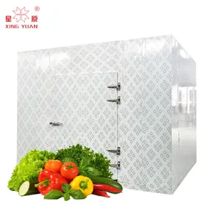 100ton cold storage room for meat vegetable fruit