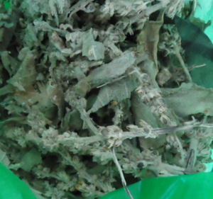 الطب الصيني من أوراق المولين المجففة الطبيعية الخام النقي - Product Image 2