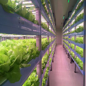 Container NFT Hydroponic Farm Smart Vertical Farming Shipping Container Farm Small <b>Greenhouse</b> Hydroponic Lettuce Growing System - Product Image 2