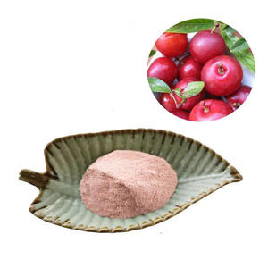 Fabricantes suministro de alta calidad Soluble en agua Cerasus Humilis fruta en polvo calcio fruta en polvo con el mejor precio - Product Image 1