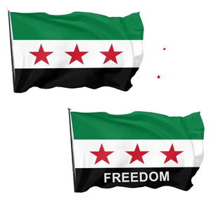 批发叙利亚国旗定制所有国家快速运输可靠供应商快速交货 - Product Image 2