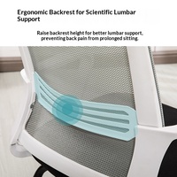 Chaise de bureau avec dossier en maille d'acier courbée, pour conférence, réunion, formation, personnel, ordinateur, maison, mahjong, tabouret, accoudoirs non rotatifs