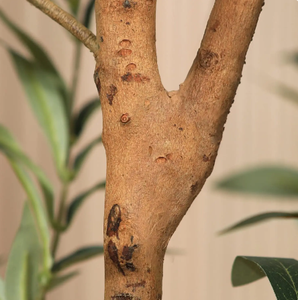 Plante artificielle de style chaud atterrissage en pot olive artificielle plante verte olive avec pot pour <span class=keywords><strong>d</strong></span>écoration de salon - Product Image 6